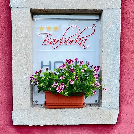Barborka