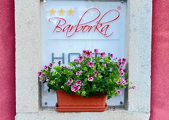 Barborka